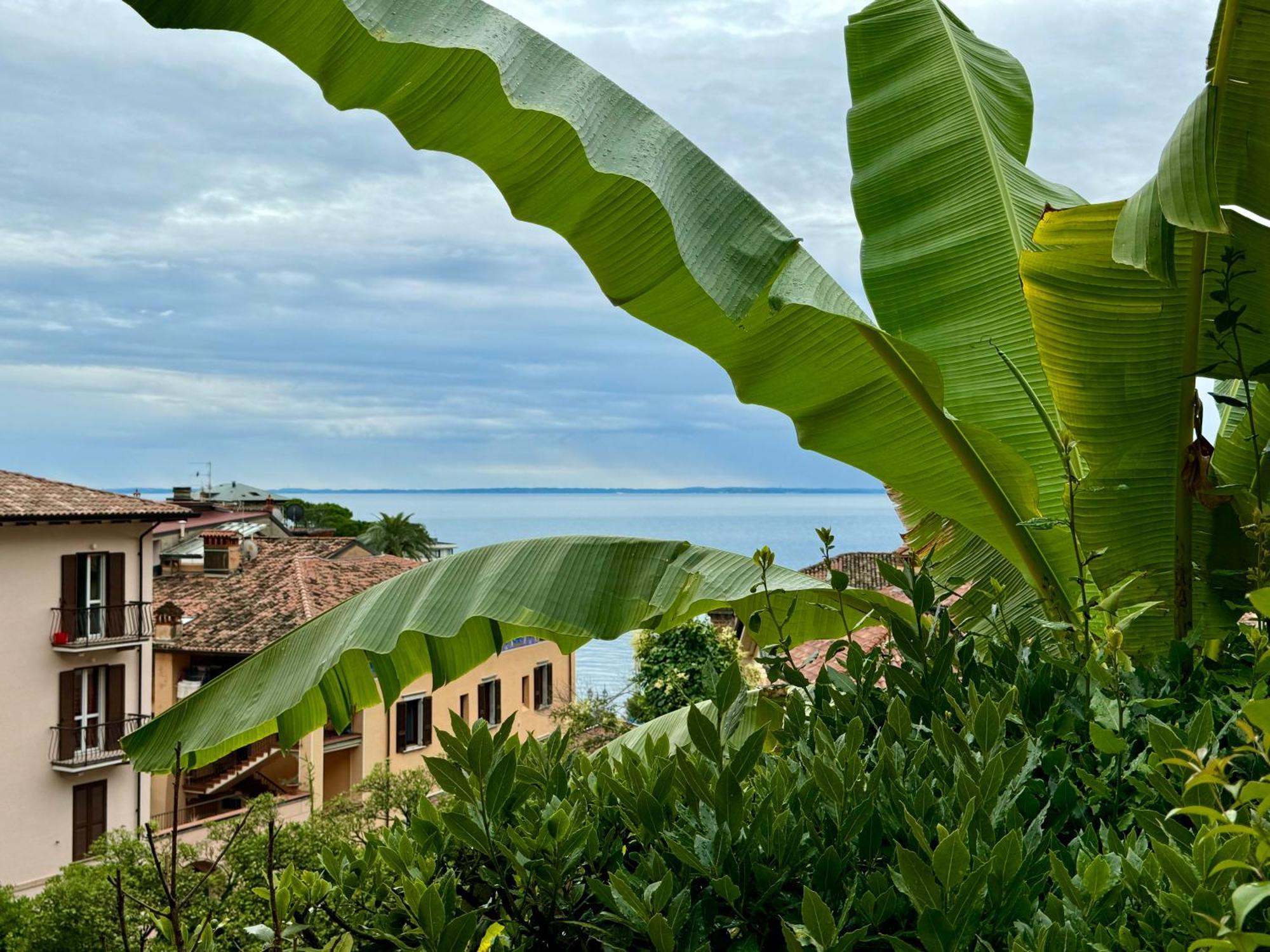 Casa Dolce Vita, Seeblick Toscolano-Maderno Exterior foto